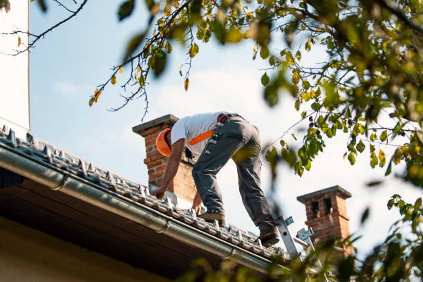 Best Roof Gutter Cleaning  in Orfordville, WI